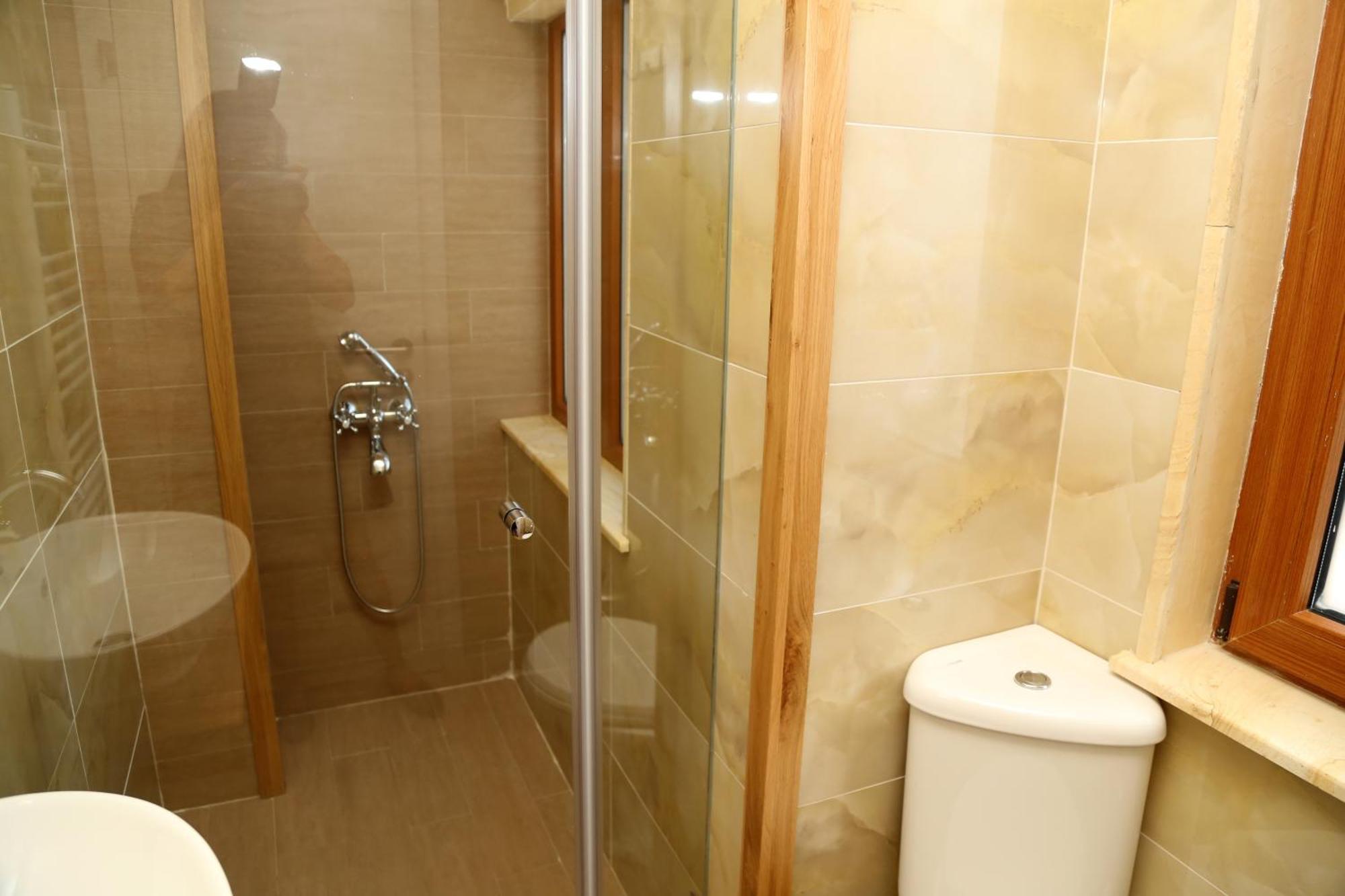Villa Ema Panichishte Room photo