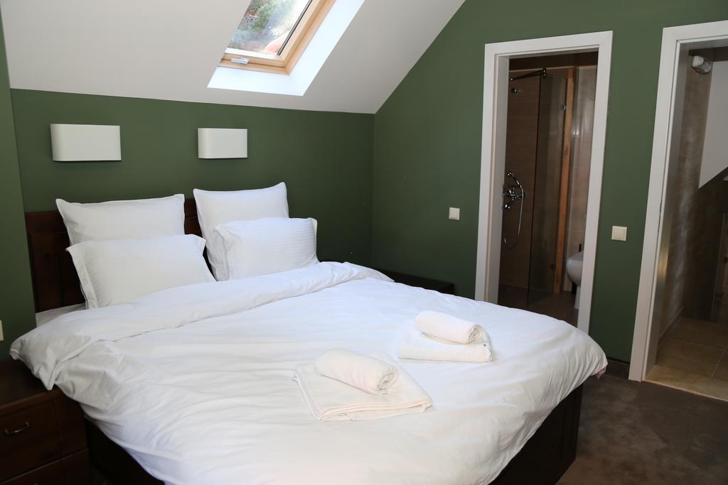 Villa Ema Panichishte Room photo
