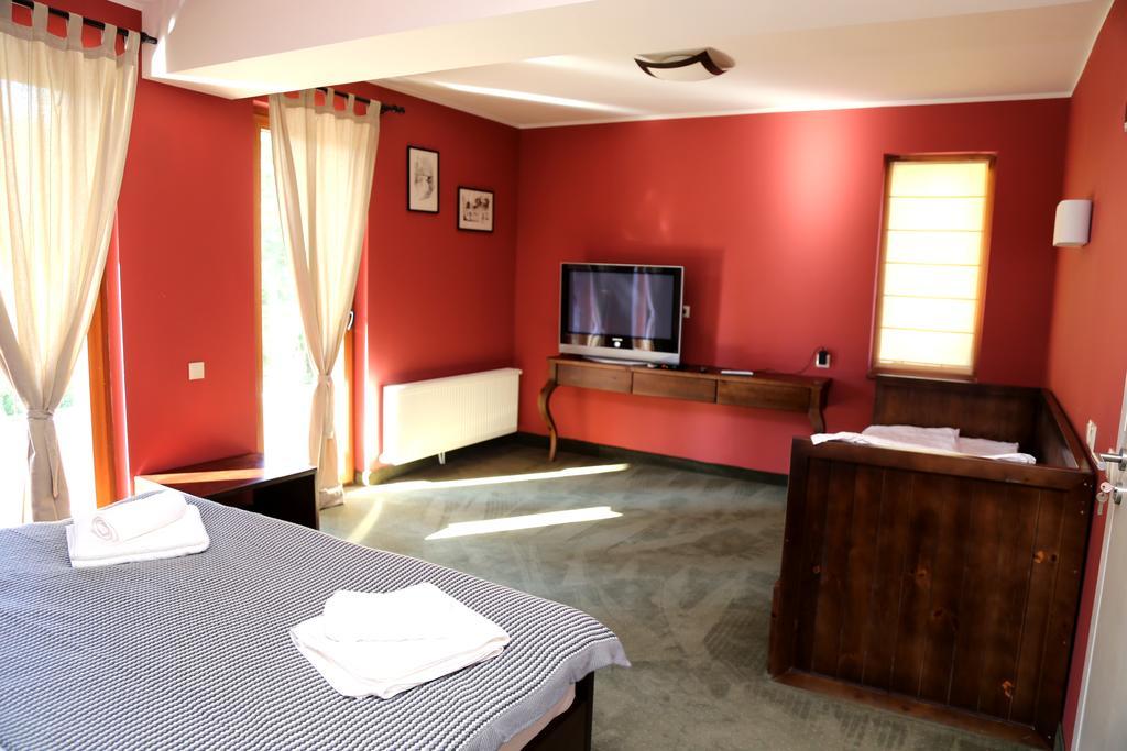 Villa Ema Panichishte Room photo